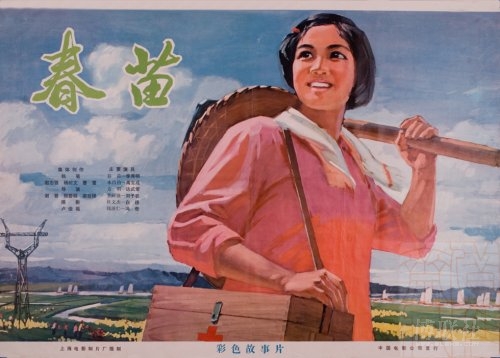 假毕业证样本